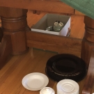 2019-07-11-11.49.23-102