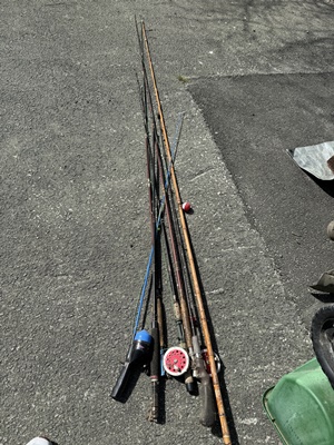 IMG_3278-1