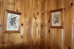 Photo-Mar-20-2025-2-40-25-PM