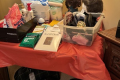 Photo-Mar-20-2025-3-36-20-PM