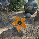 IMG_7172