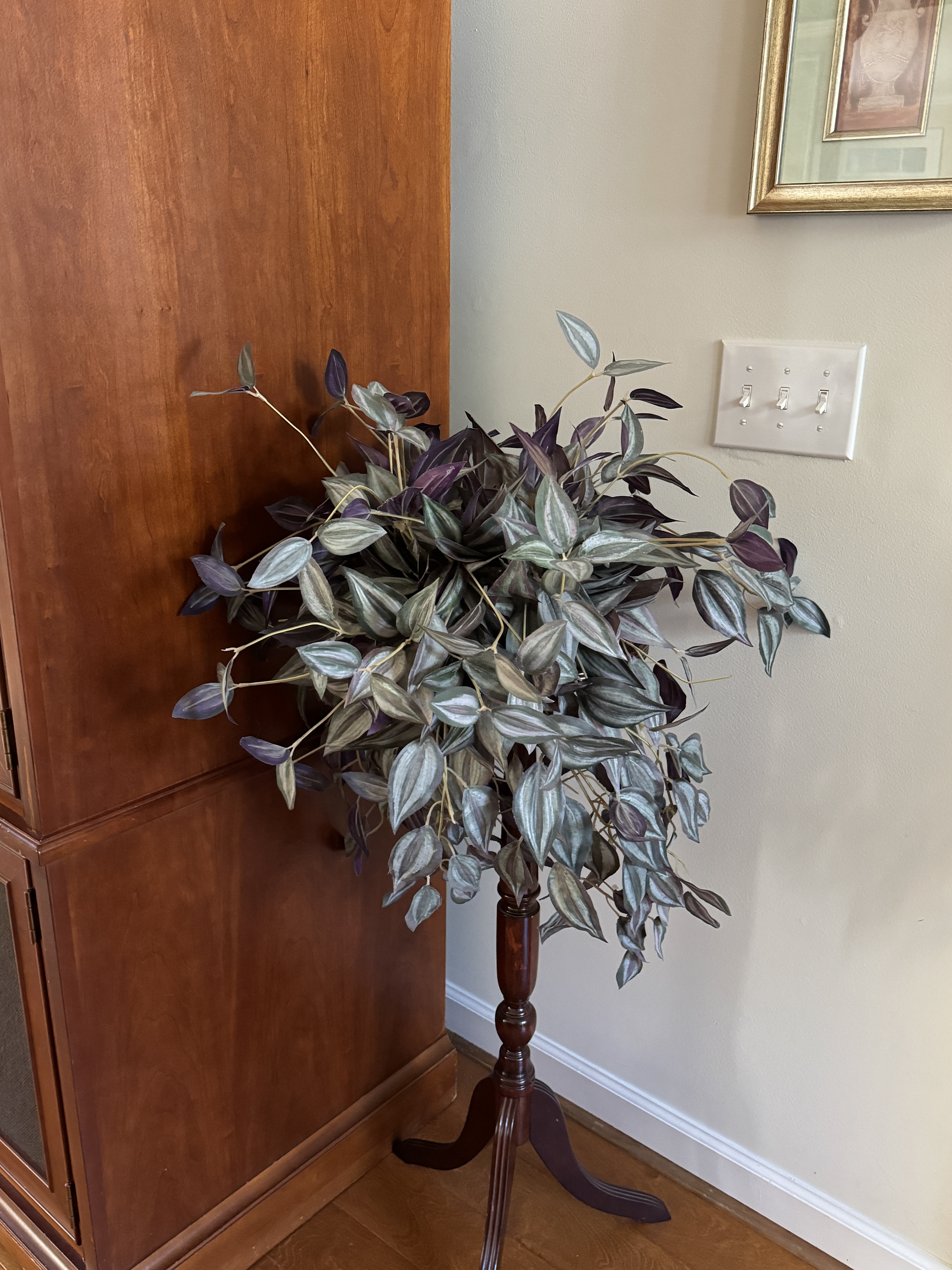 IMG_1718