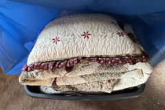 Photo-Jan-27-2026-3-01-02-PM